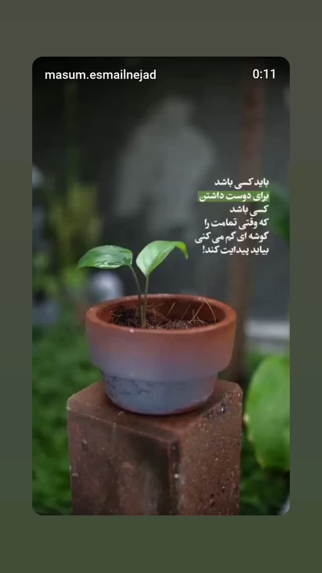  جدید ترین استوری اینستاگرام مرضیه مینایی پور