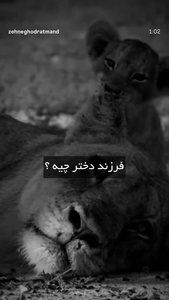  جدید ترین استوری اینستاگرام مرضیه مینایی پور