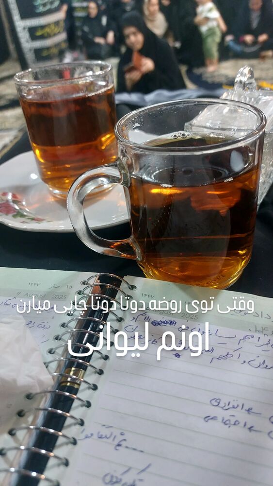  جدید ترین استوری اینستاگرام مرضیه مینایی پور