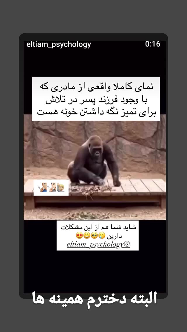  جدید ترین استوری اینستاگرام مرضیه مینایی پور