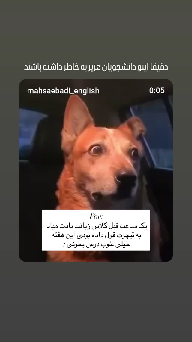  جدید ترین استوری اینستاگرام مرضیه مینایی پور