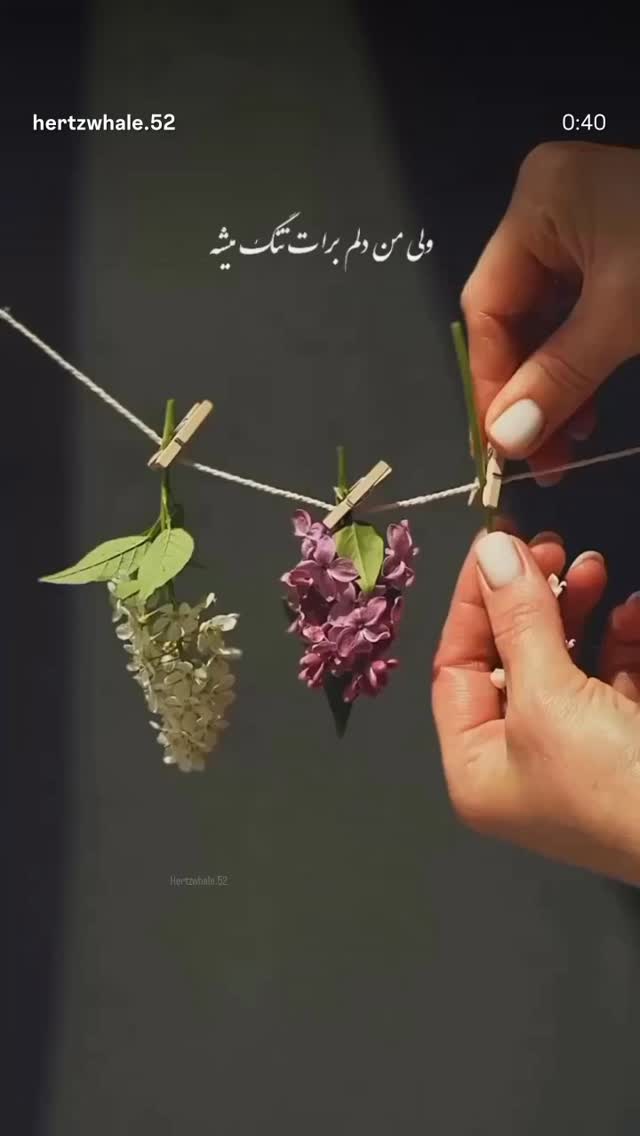  جدید ترین استوری اینستاگرام مرضیه مینایی پور