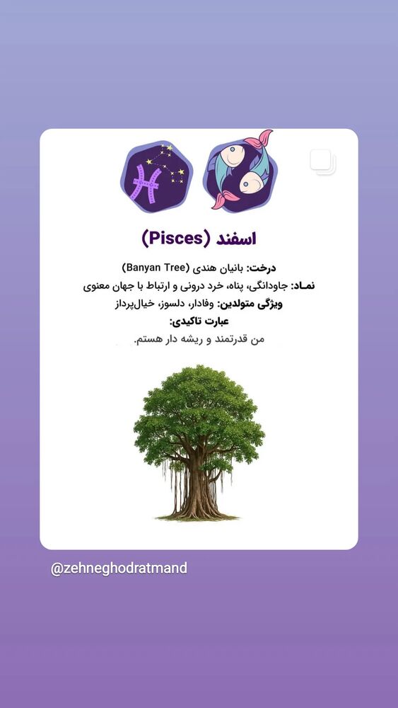 جدید ترین استوری اینستاگرام مرضیه مینایی پور