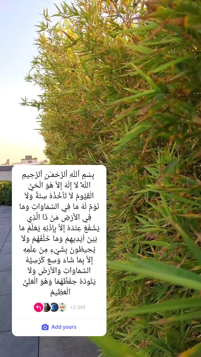  جدید ترین استوری اینستاگرام مرضیه مینایی پور