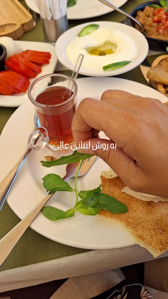  جدید ترین استوری اینستاگرام مرضیه مینایی پور
