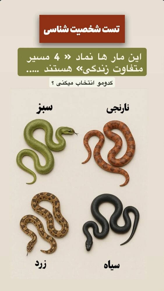  جدید ترین استوری اینستاگرام مرضیه مینایی پور