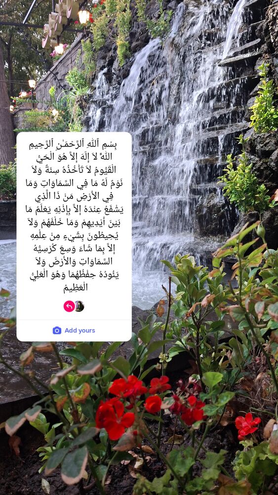  جدید ترین استوری اینستاگرام مرضیه مینایی پور