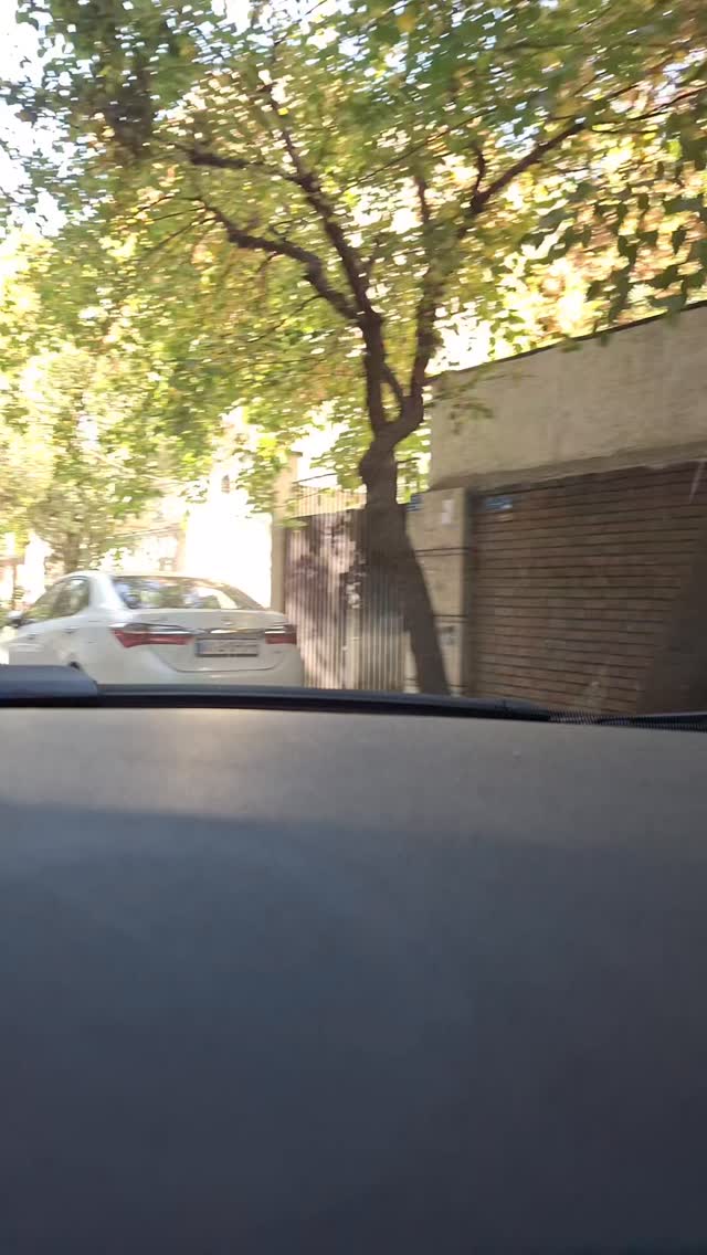  جدید ترین استوری اینستاگرام مرضیه مینایی پور