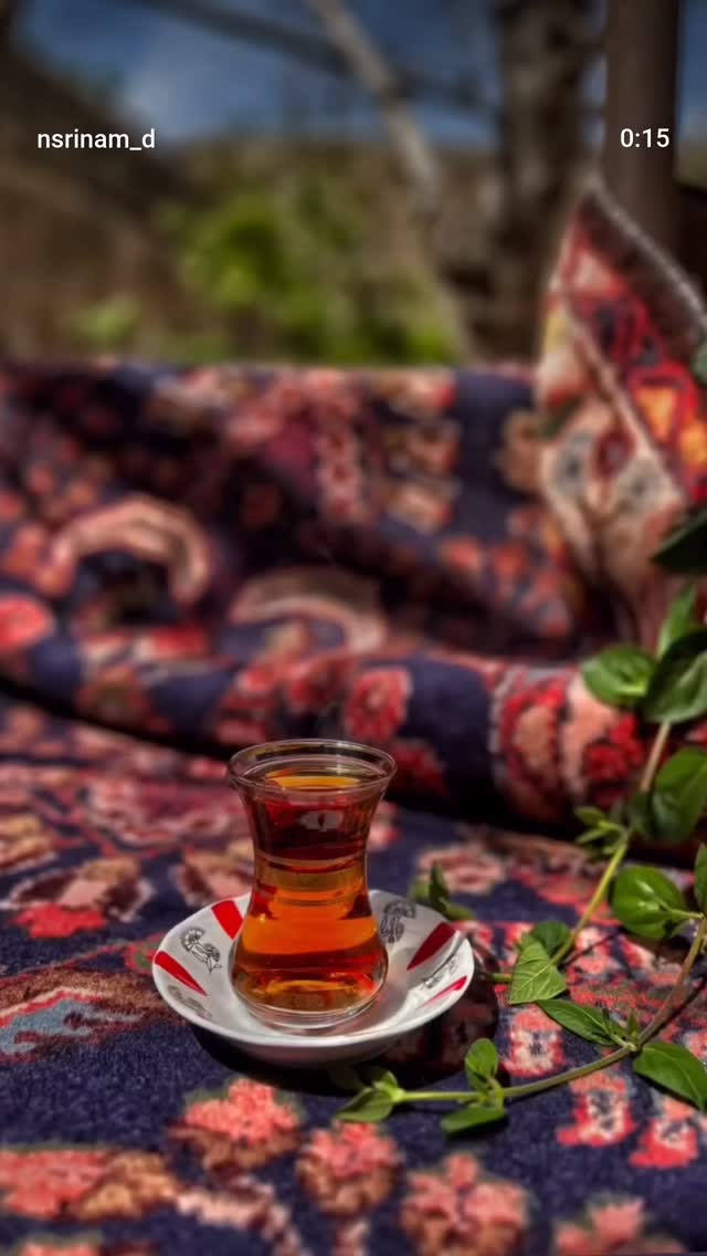  جدید ترین استوری اینستاگرام مرضیه مینایی پور