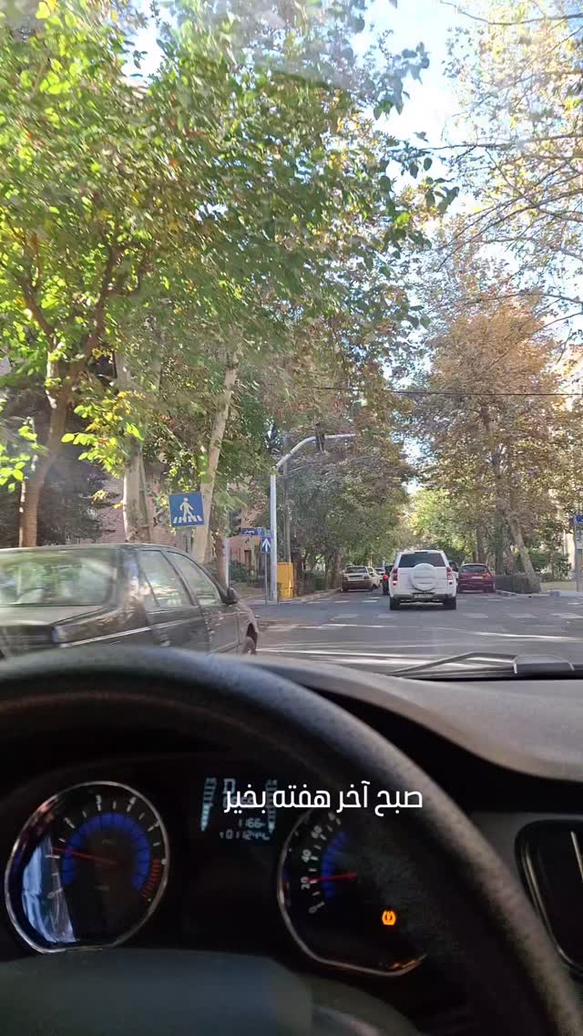  جدید ترین استوری اینستاگرام مرضیه مینایی پور