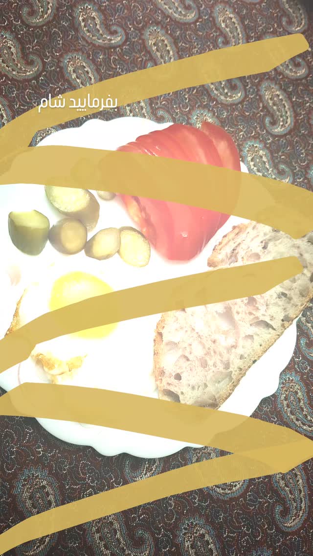  جدید ترین استوری اینستاگرام مرضیه مینایی پور