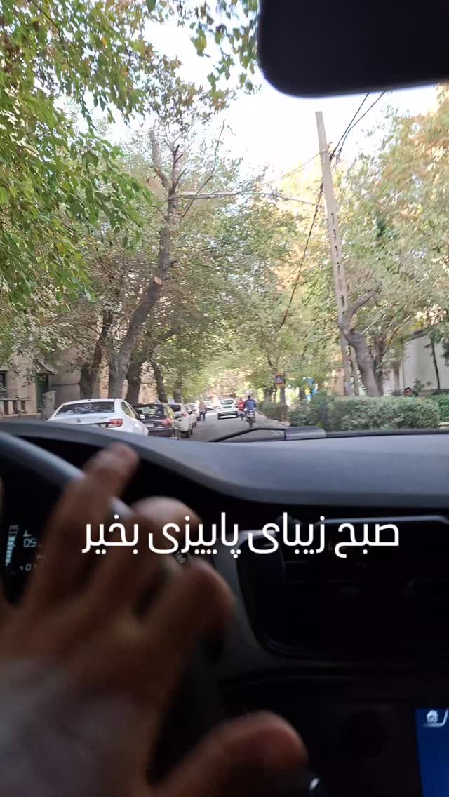  جدید ترین استوری اینستاگرام مرضیه مینایی پور