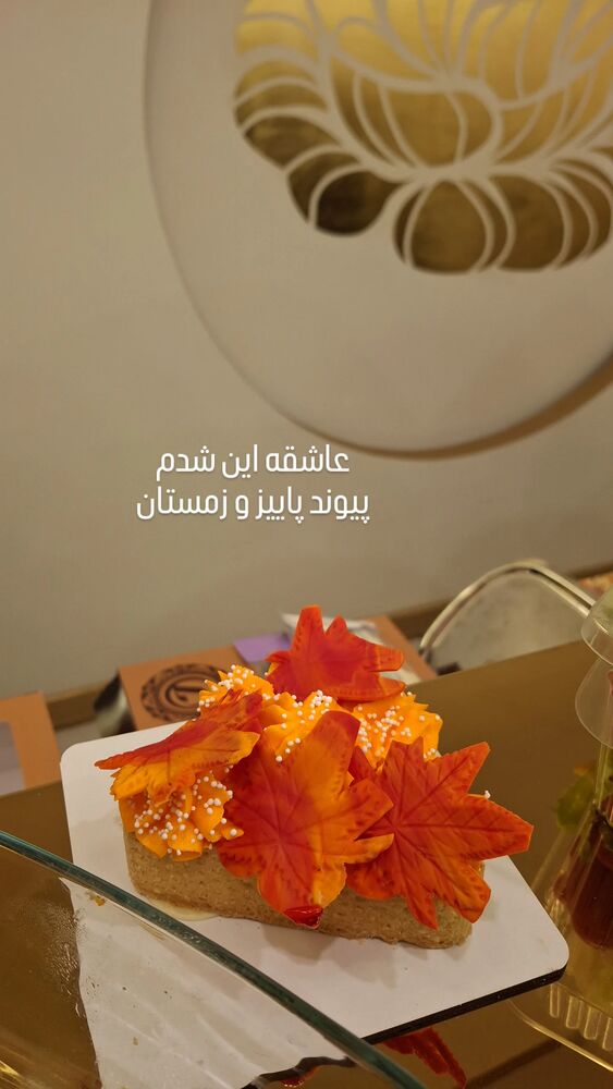  جدید ترین استوری اینستاگرام مرضیه مینایی پور