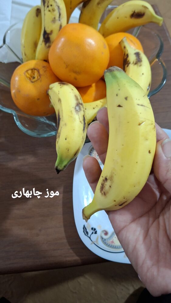  جدید ترین استوری اینستاگرام مرضیه مینایی پور