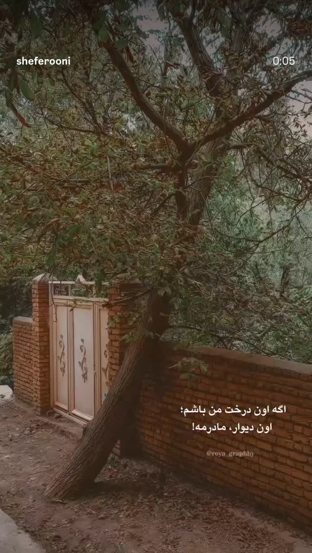  جدید ترین استوری اینستاگرام مرضیه مینایی پور
