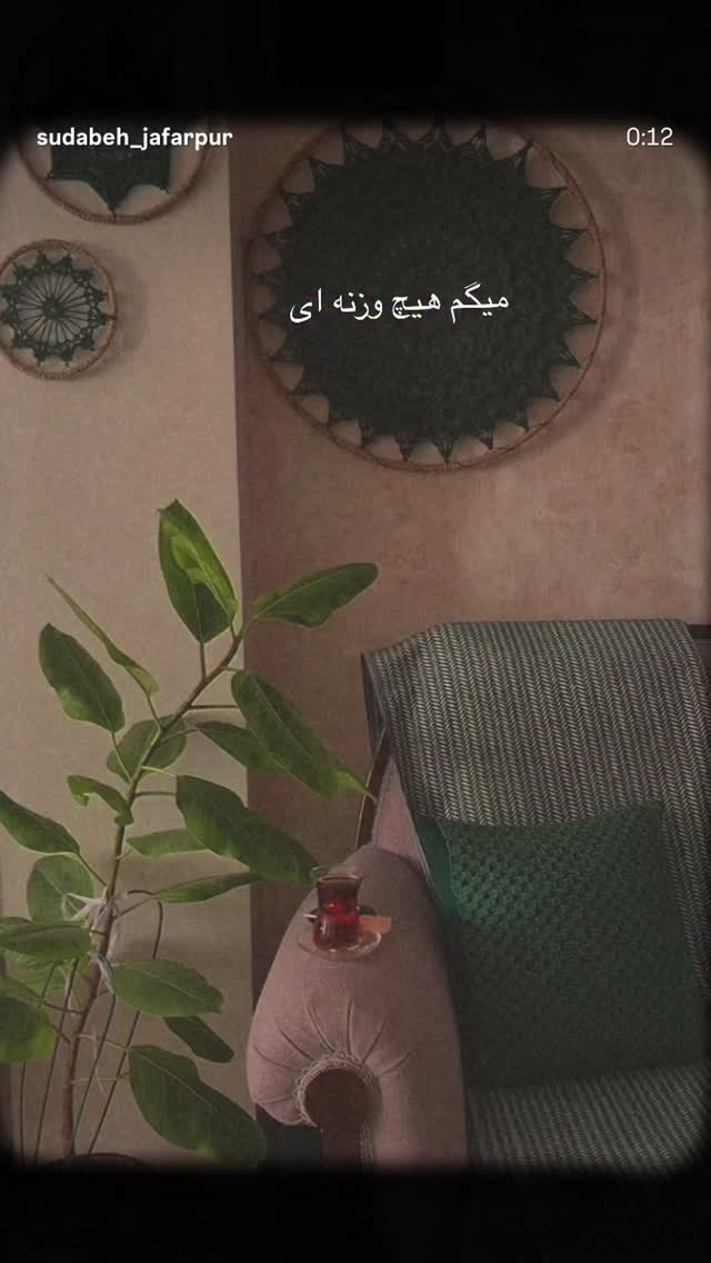  جدید ترین استوری اینستاگرام مرضیه مینایی پور