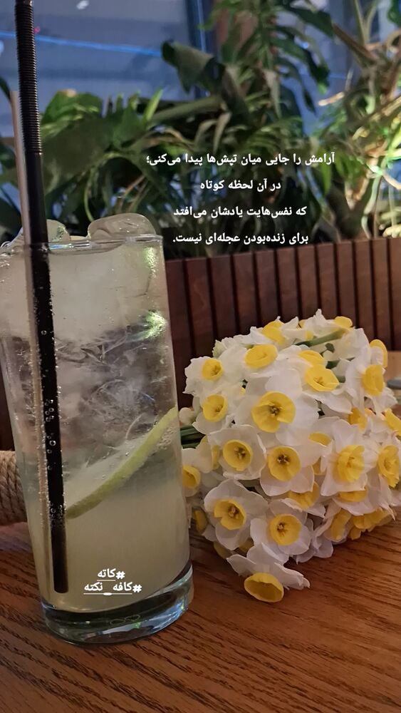  جدید ترین استوری اینستاگرام مرضیه مینایی پور