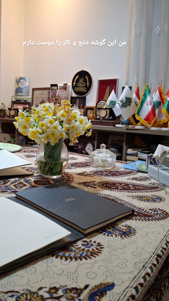  جدید ترین استوری اینستاگرام مرضیه مینایی پور