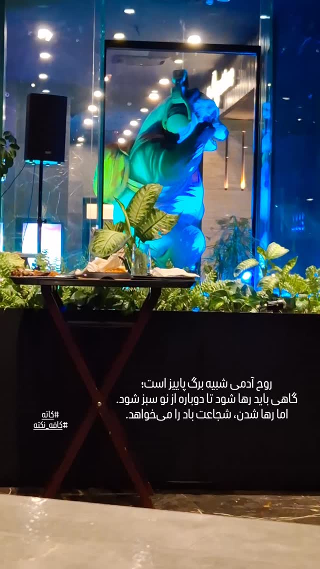  جدید ترین استوری اینستاگرام مرضیه مینایی پور