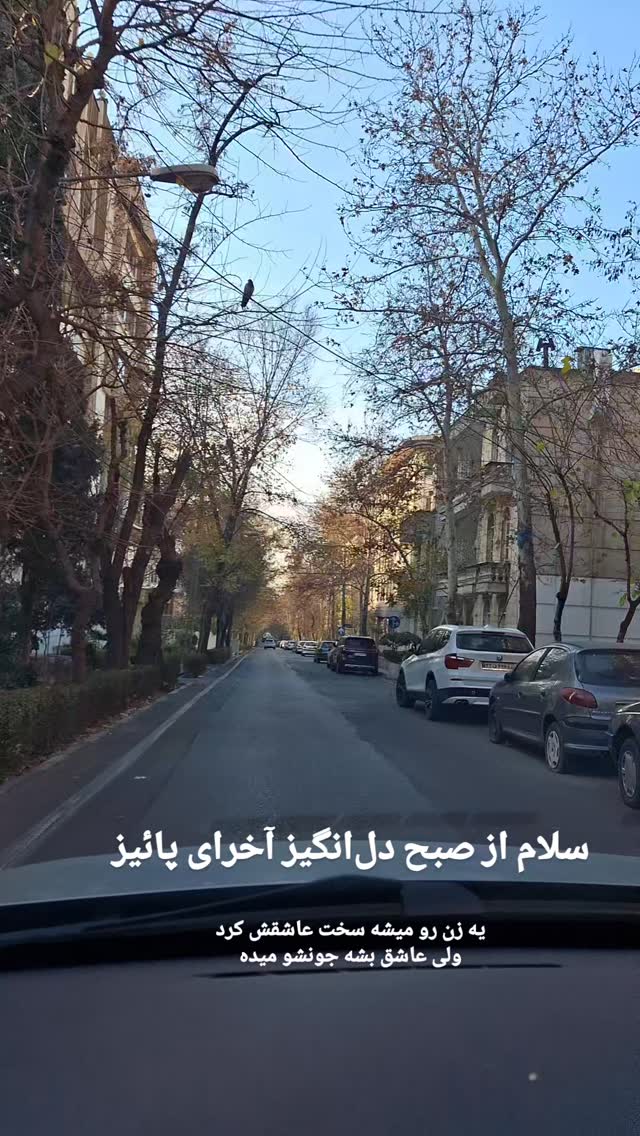  جدید ترین استوری اینستاگرام مرضیه مینایی پور