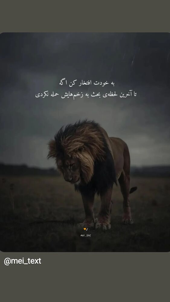  جدید ترین استوری اینستاگرام مرضیه مینایی پور