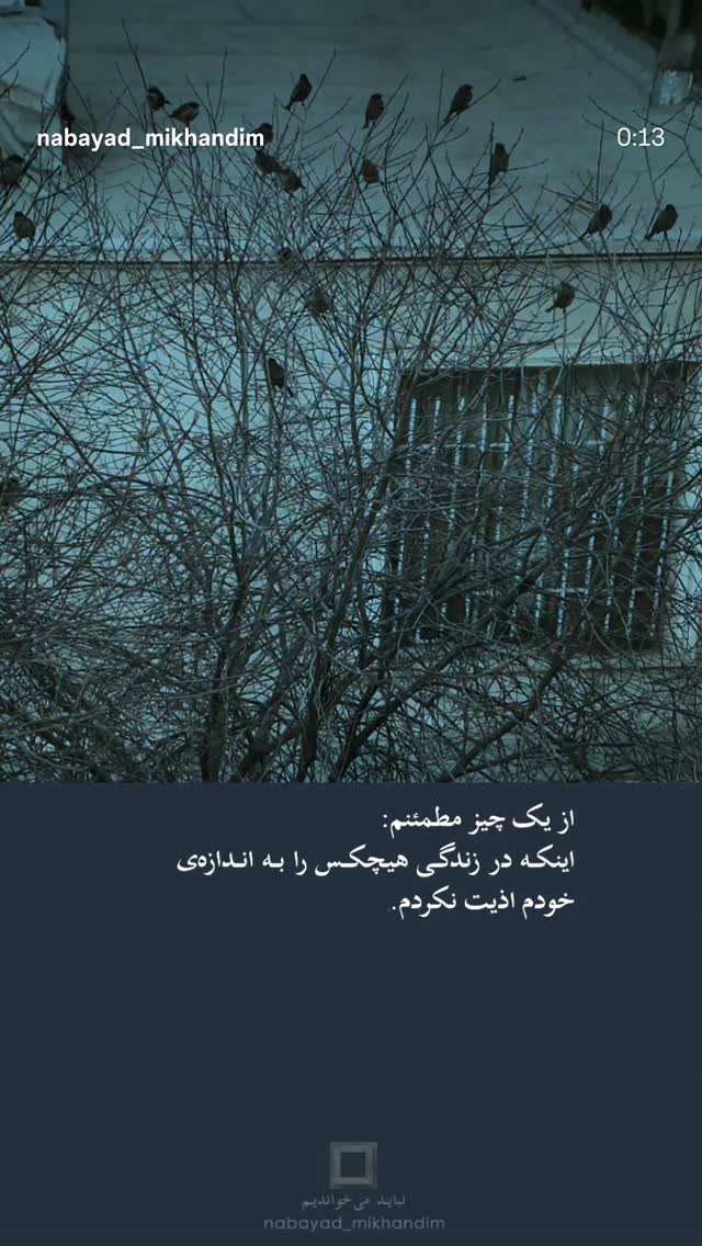  جدید ترین استوری اینستاگرام مرضیه مینایی پور