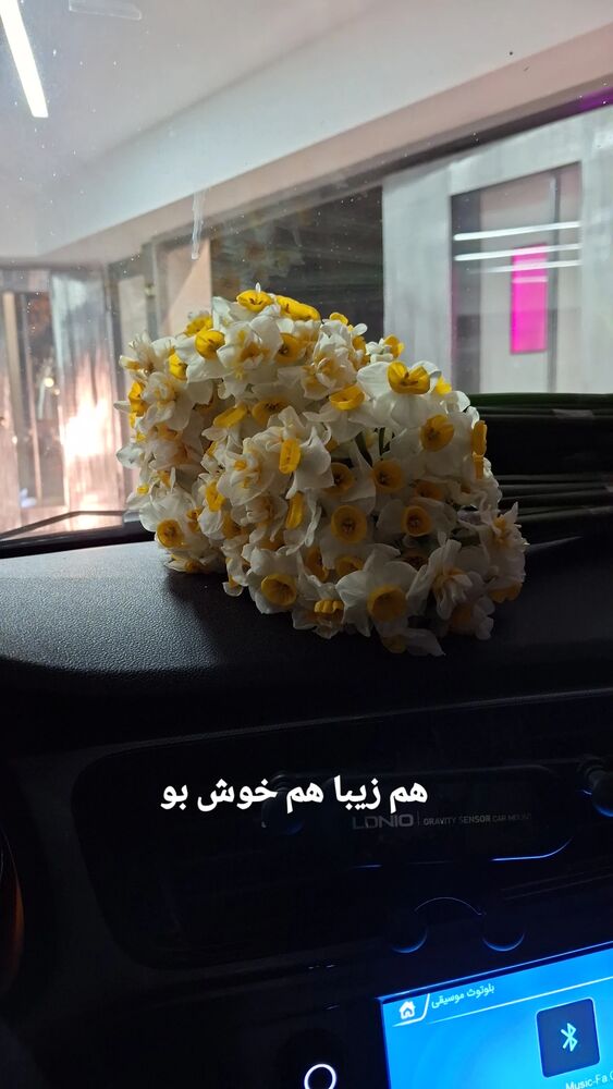  جدید ترین استوری اینستاگرام مرضیه مینایی پور