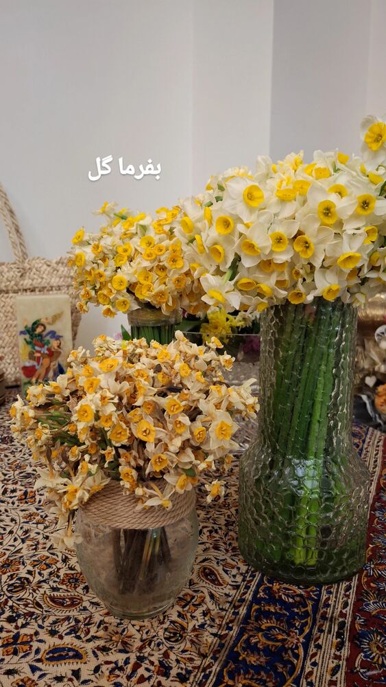  جدید ترین استوری اینستاگرام مرضیه مینایی پور
