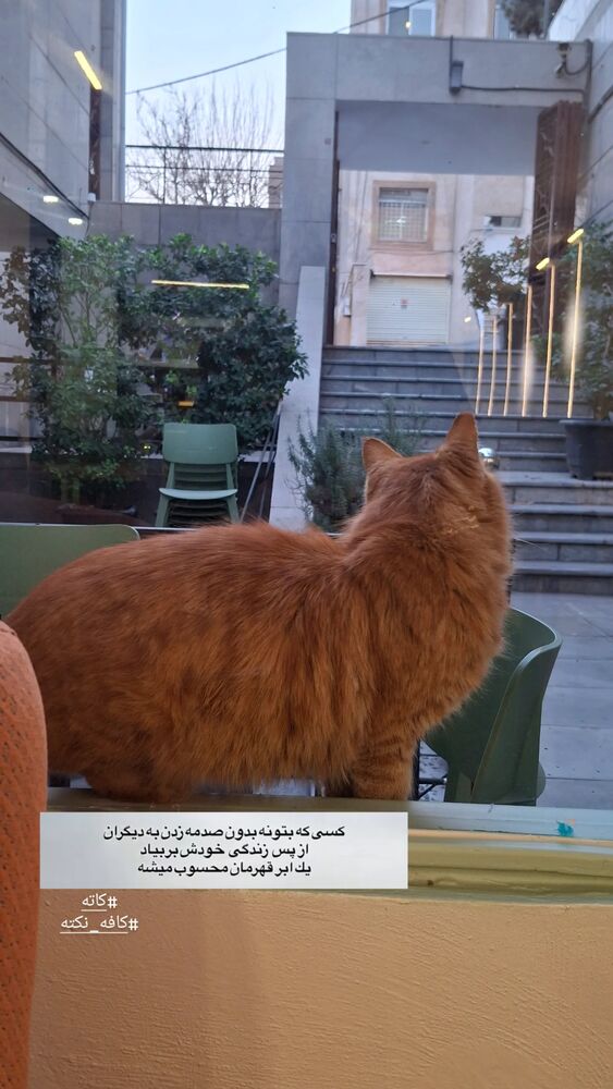  جدید ترین استوری اینستاگرام مرضیه مینایی پور