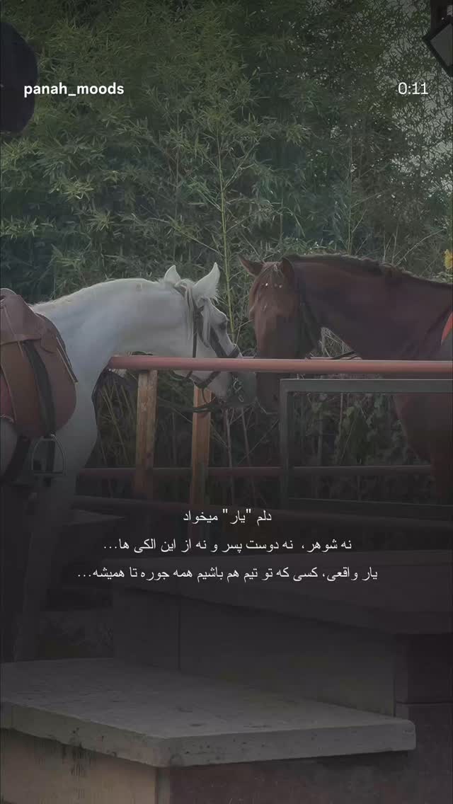  جدید ترین استوری اینستاگرام مرضیه مینایی پور