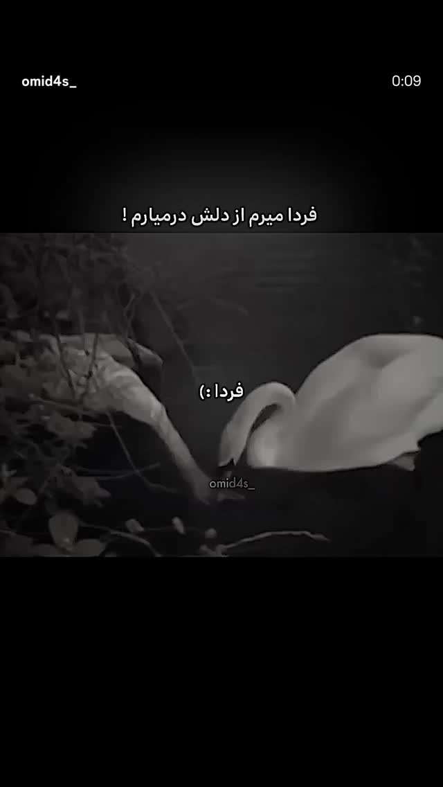  جدید ترین استوری اینستاگرام مرضیه مینایی پور