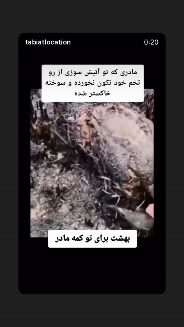  جدید ترین استوری اینستاگرام مونا سعیدپور