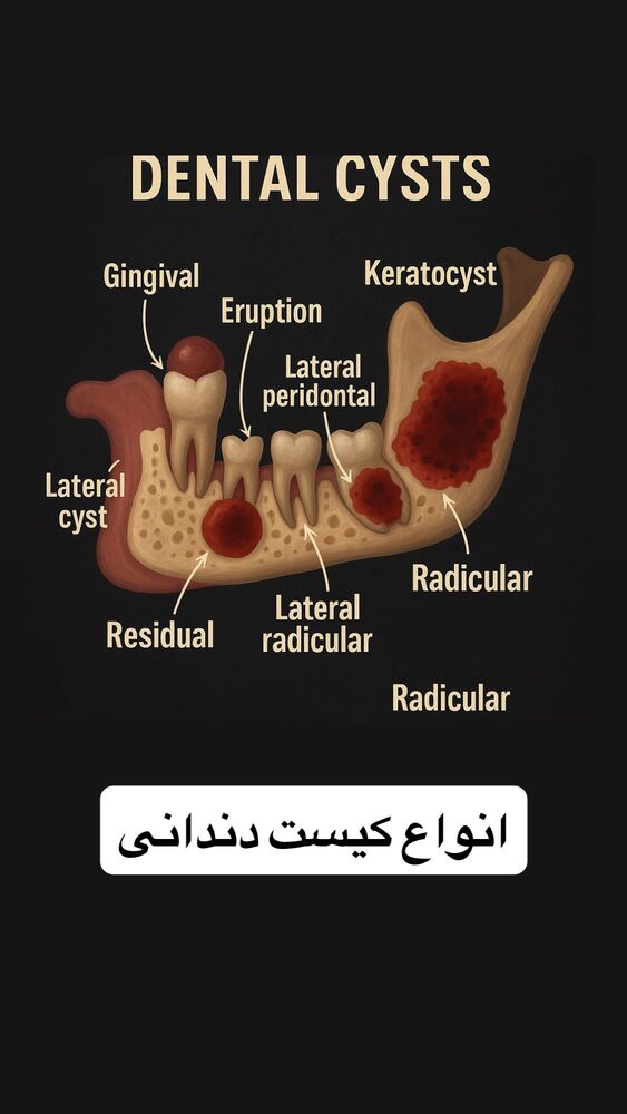  جدید ترین استوری اینستاگرام حسن روشن طلب