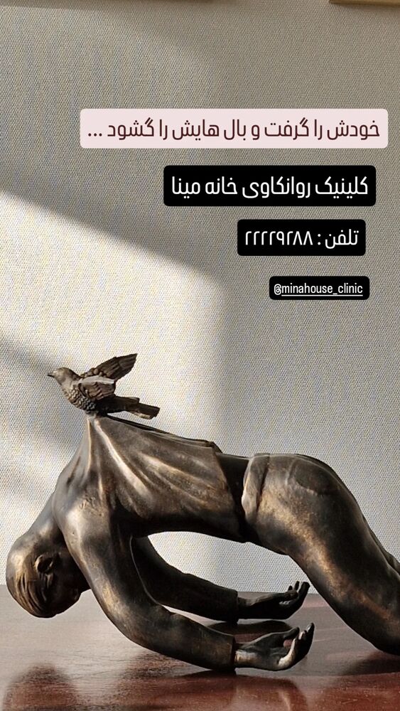  جدید ترین استوری اینستاگرام شاهین شرافتی