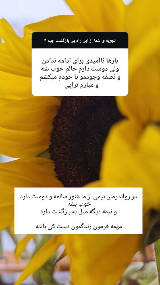  جدید ترین استوری اینستاگرام شاهین شرافتی