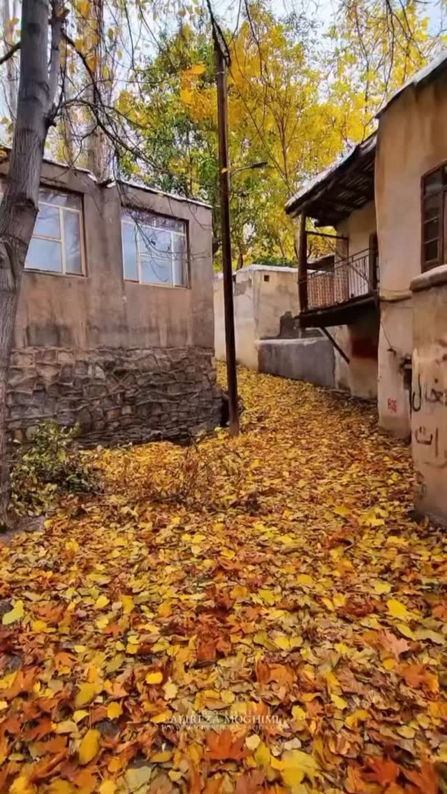  جدید ترین استوری اینستاگرام مجید یراق بافان