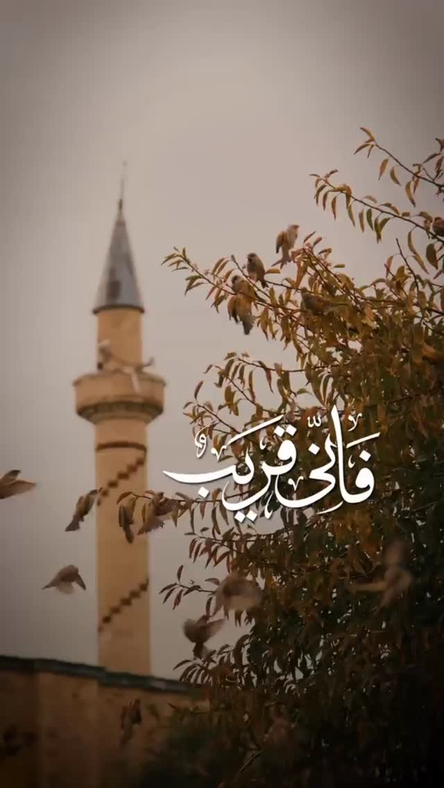  جدید ترین استوری اینستاگرام مجید یراق بافان