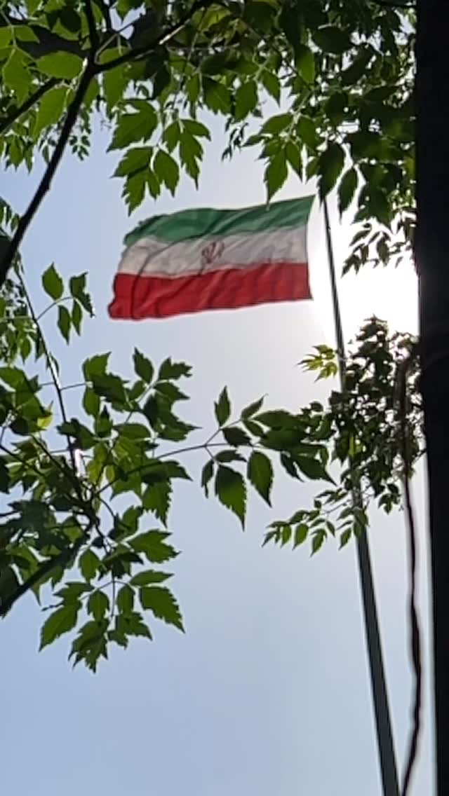  جدید ترین استوری اینستاگرام مجید یراق بافان