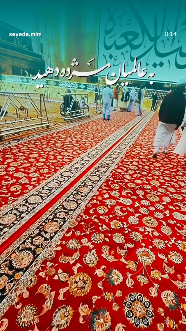  جدید ترین استوری اینستاگرام مجید یراق بافان
