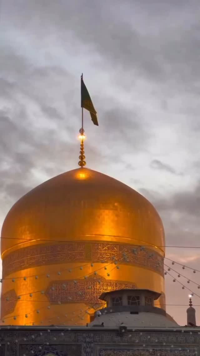  جدید ترین استوری اینستاگرام دکتر فاطمه محمدی