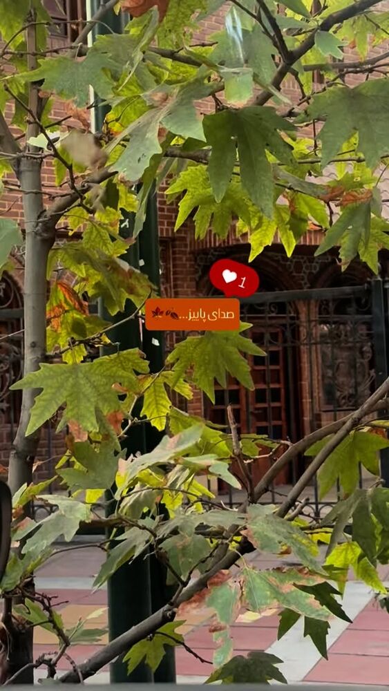  جدید ترین استوری اینستاگرام دکتر فاطمه محمدی