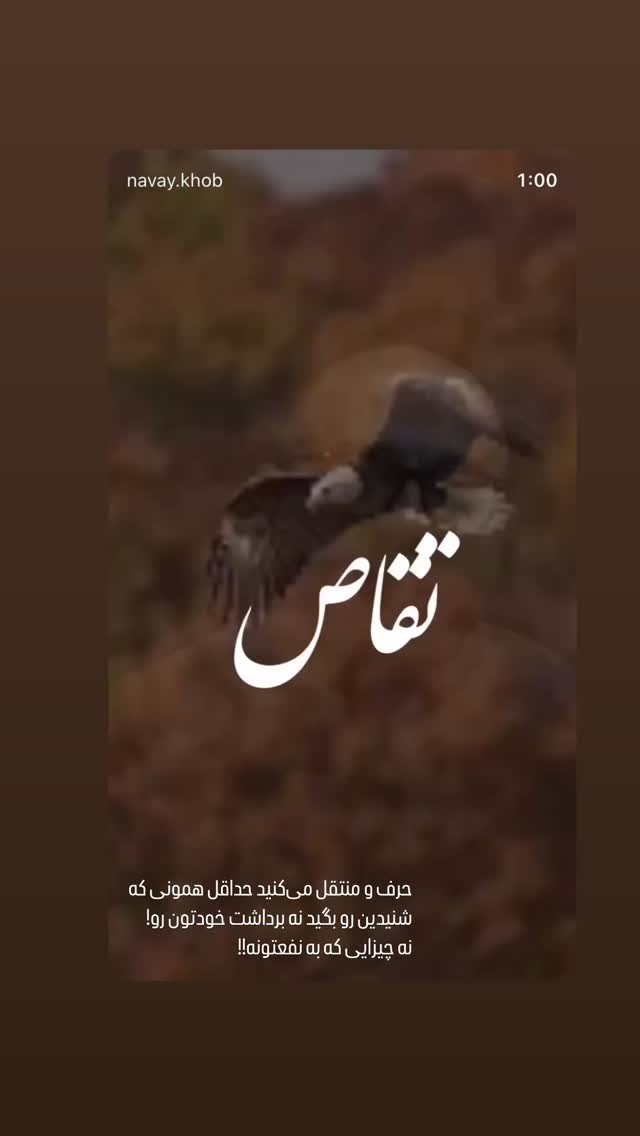  جدید ترین استوری اینستاگرام دکتر فاطمه محمدی