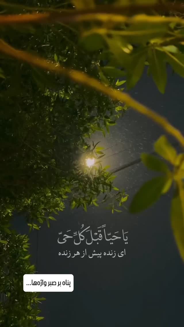  جدید ترین استوری اینستاگرام دکتر فاطمه محمدی