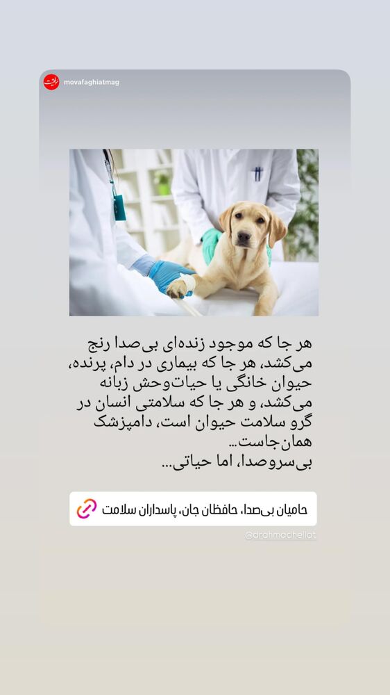  جدید ترین استوری اینستاگرام احمد حلت