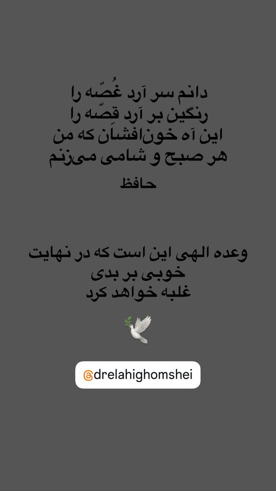 جدید ترین استوری اینستاگرام دکتر الهی قمشه ای