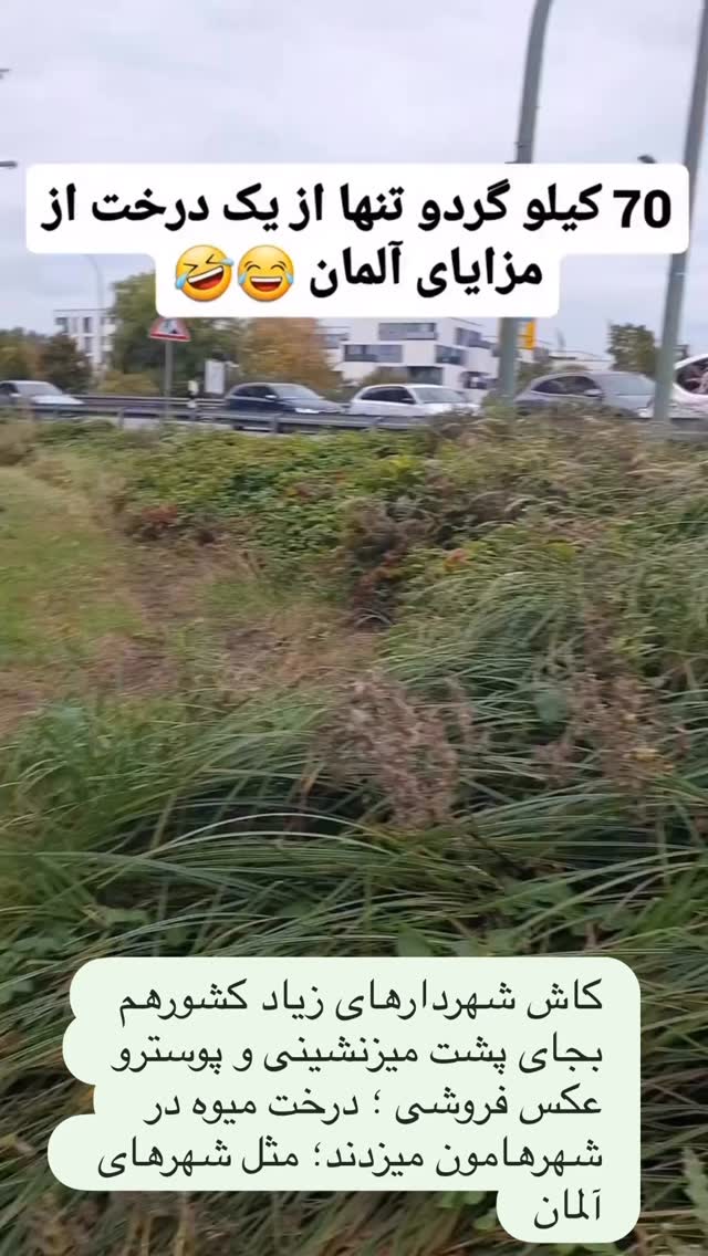  جدید ترین استوری اینستاگرام دکتر هاشمیان