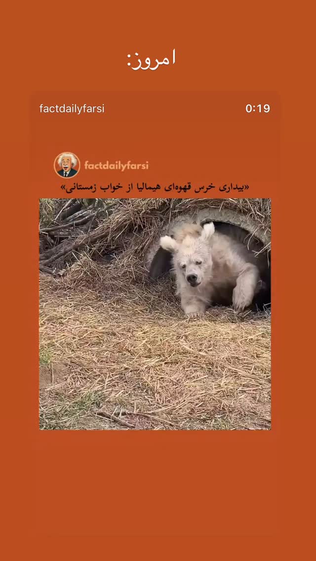  جدید ترین استوری اینستاگرام پارسا کیانی