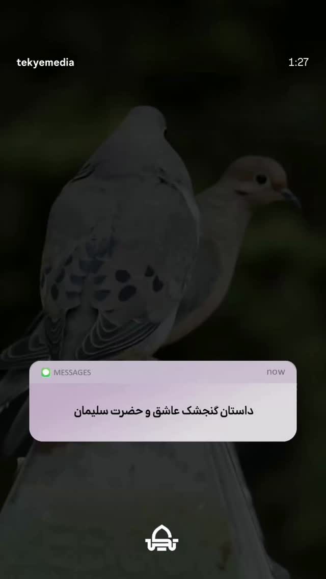  جدید ترین استوری اینستاگرام ناصر رفیعی