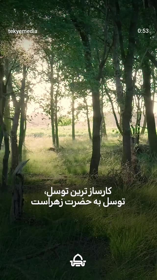  جدید ترین استوری اینستاگرام ریحانه ابراهیمی