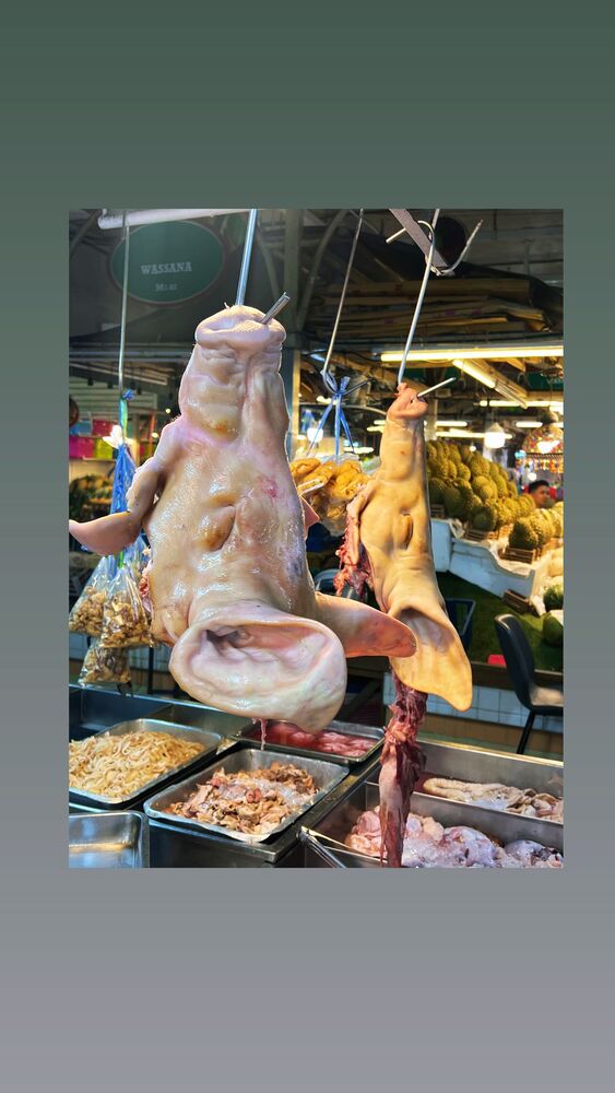  جدید ترین استوری اینستاگرام احسان ظلی پور